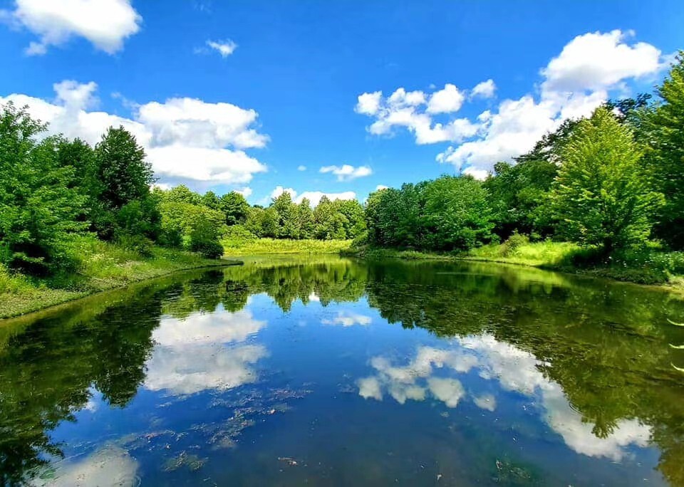 回溫期養(yǎng)蝦如何治弧菌？