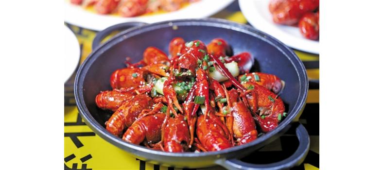 六月小龍蝦養(yǎng)殖關(guān)鍵點